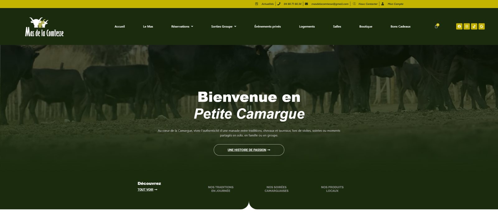 Capture de la page d’accueil du site Mas de la Comtesse